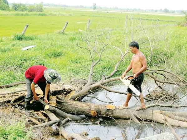Land price has rocketed in Cu Chi because of a 15,000 hectare urban area project which the chairman of the HCMC People’s Committee said the city did not advocate (Photo: SGGP) Land price has rocketed in Cu Chi because of a 15,000 hectare urban area project which the chairman of the HCMC People’s Committee said the city did not advocate (Photo: SGGP)